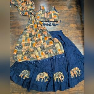 Beautiful Multicolored Indian Lehenga Choli